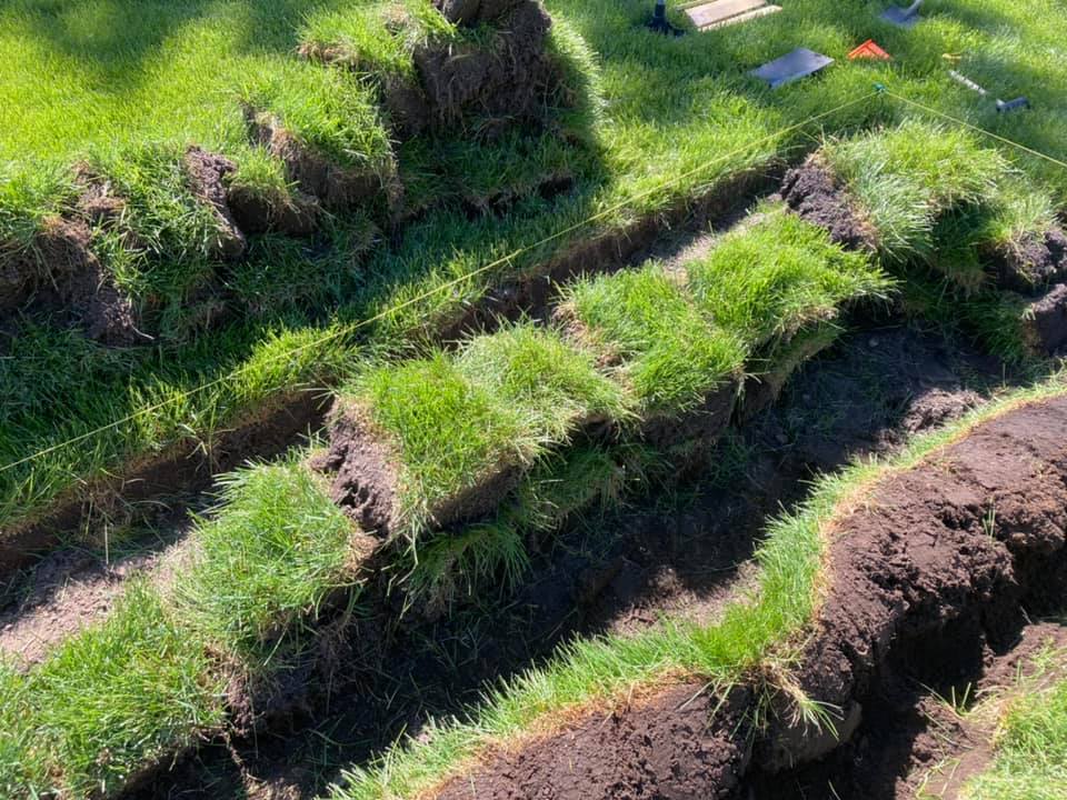 brush removal in the Chicagoland Area3