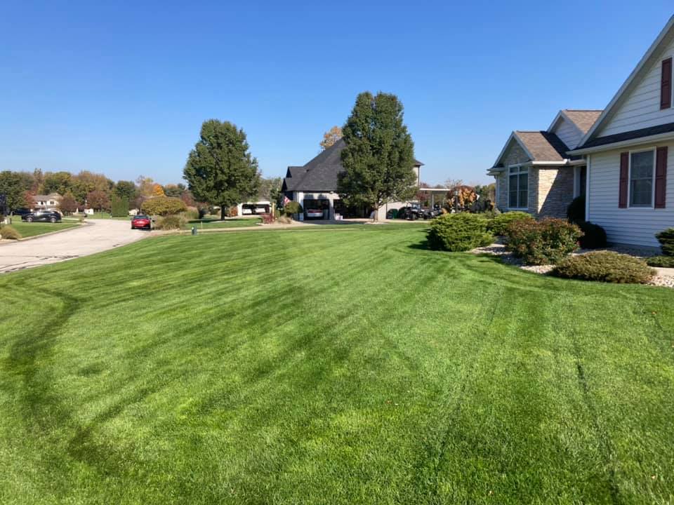 brush removal in the Chicagoland Area3
