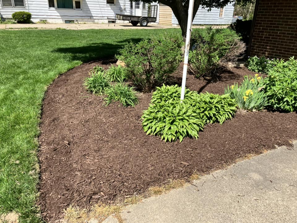 brush removal in the Chicagoland Area3