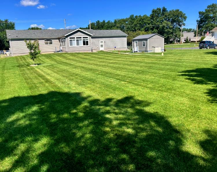 brush removal in the Chicagoland Area4