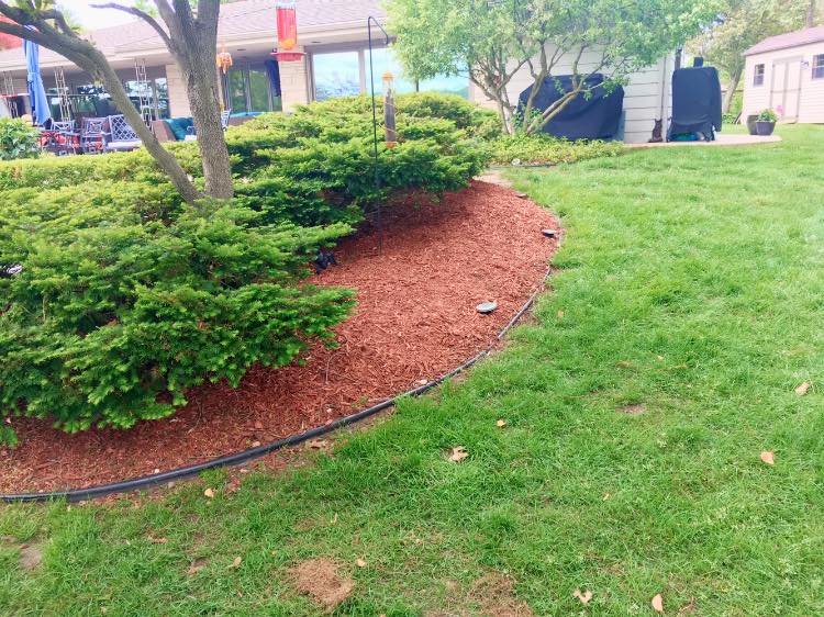 brush removal in the Chicagoland Area3