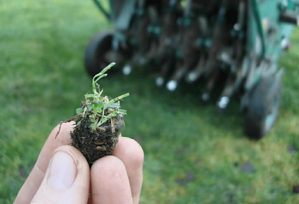Professional lawn aeration services in Vernon, WI