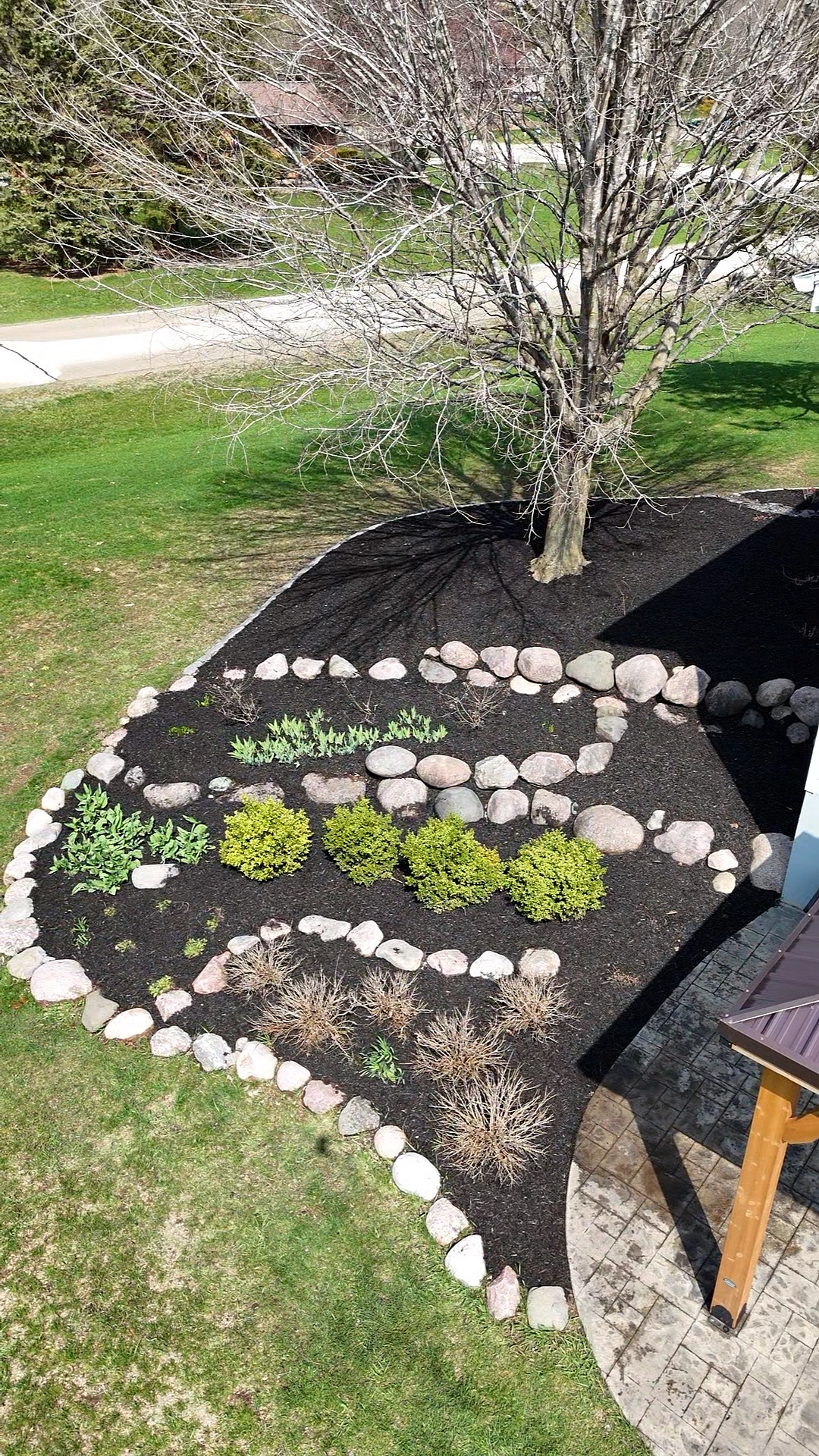 brush removal in the Chicagoland Area4