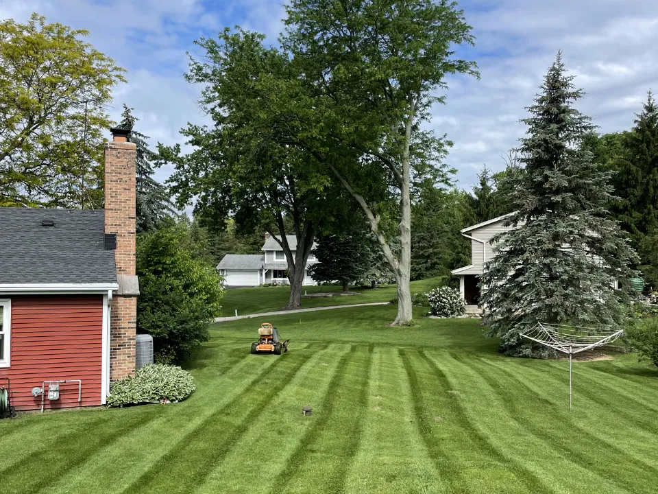brush removal in the Chicagoland Area3
