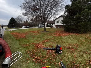 Complete fall clean up service for lawns, flower beds, and outdoor spaces in Brookfield, WI