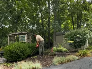 Landscaped front yard with freshly trimmed bushes in Ixonia, Wisconsin