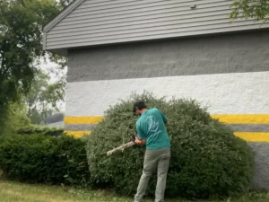 Landscaper trimming overgrown bushes at a home in Ixonia, WI
