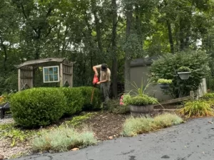 Seasonal shrub pruning and bush trimming in Lac La Belle, WI